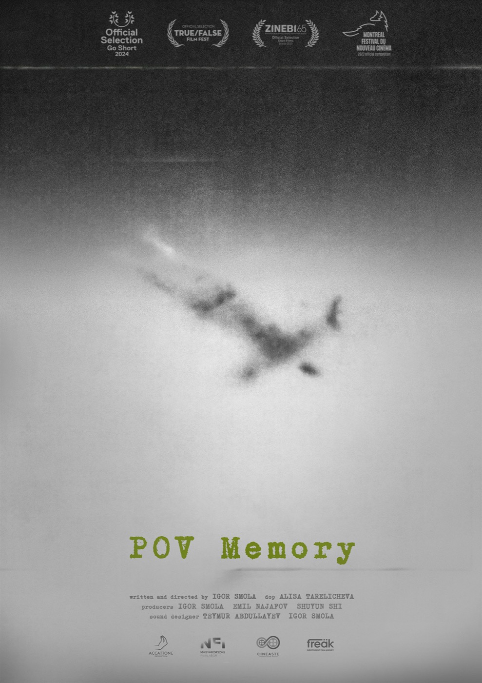 POV Memory